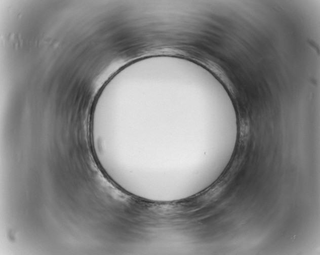 X0000101671054200807311453