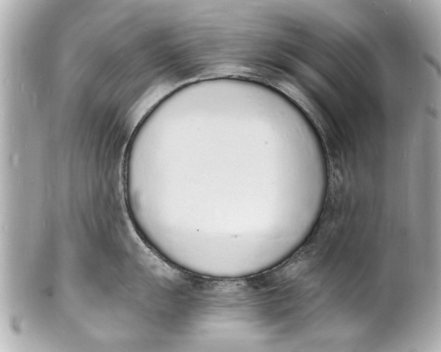 X0000101671055200807311453