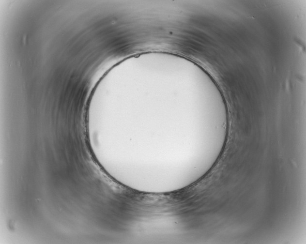 X0000101671056200807311453