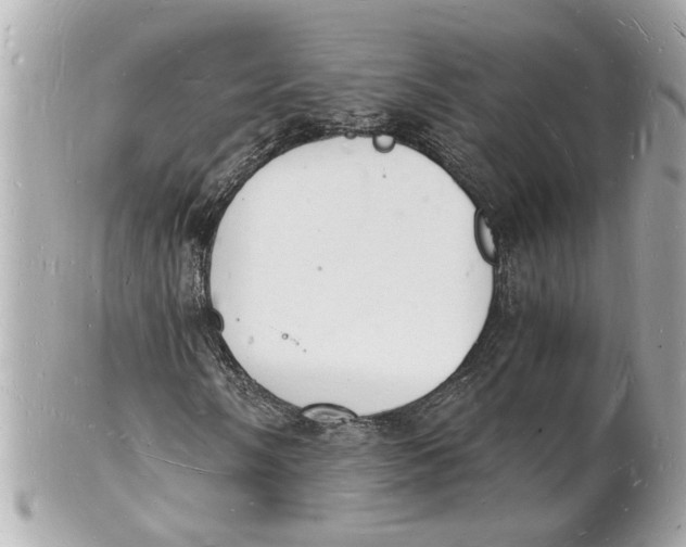 X0000101671058200807311452