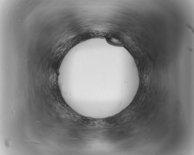 X0000101671061200807311452