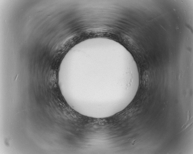 X0000101671062200807311452