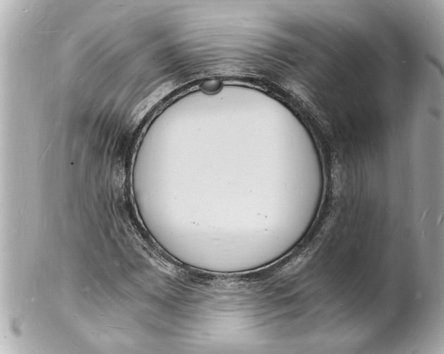 X0000101671065200807311452