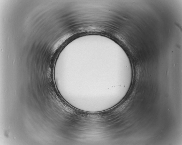 X0000101671066200807311452