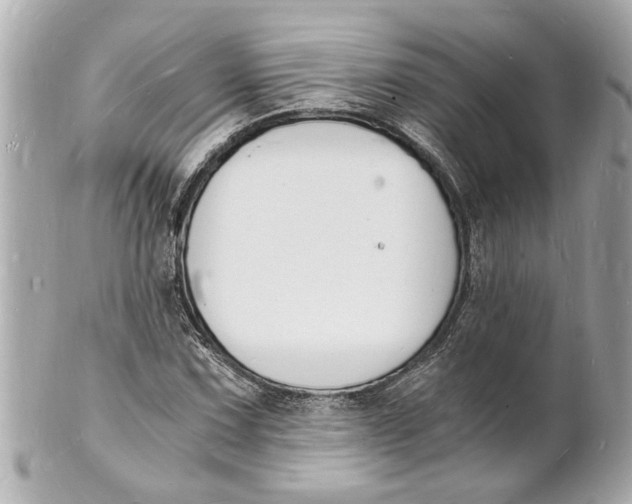 X0000101671067200807311452