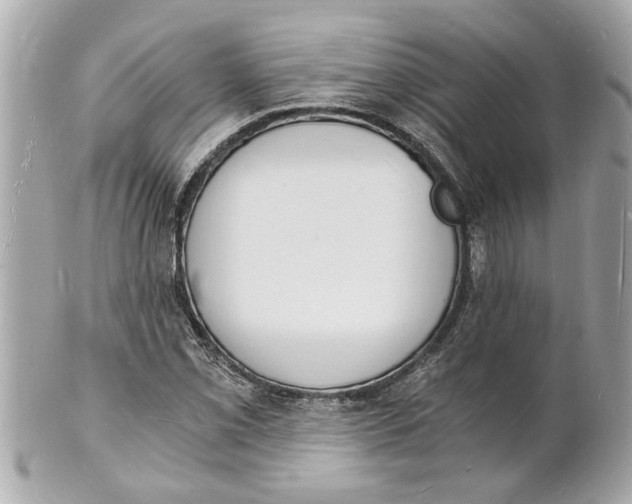 X0000101671069200807311452