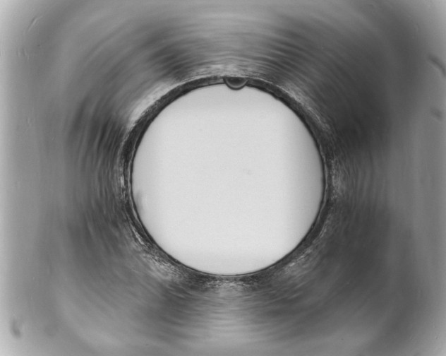 X0000101671070200807311452