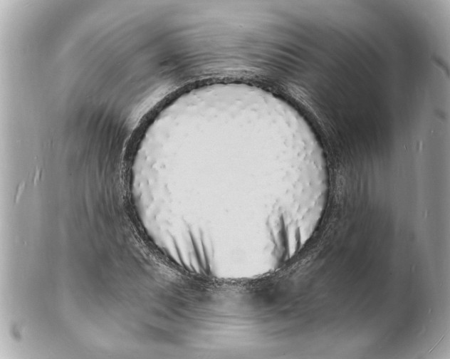 X0000101671071200807311452