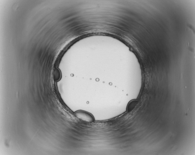 X0000101671076200807311452