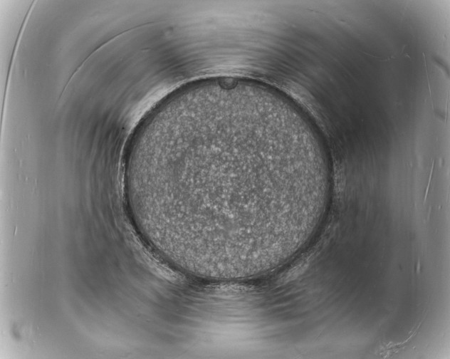 X0000101671077200807311452