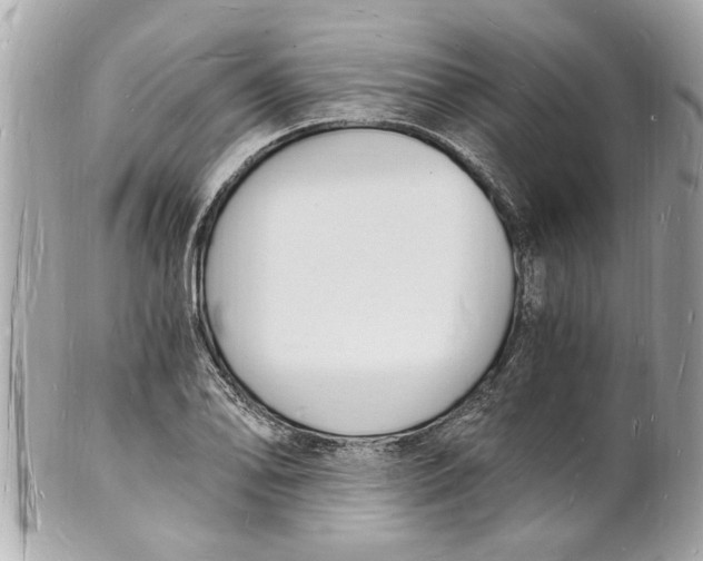 X0000101671078200807311452