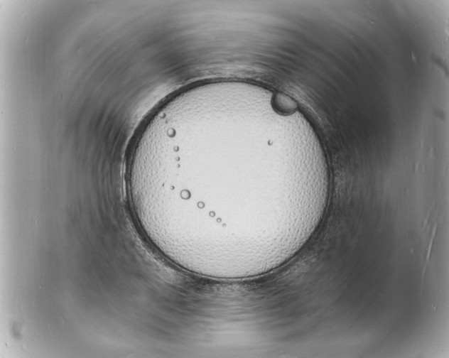 X0000101671079200807311452