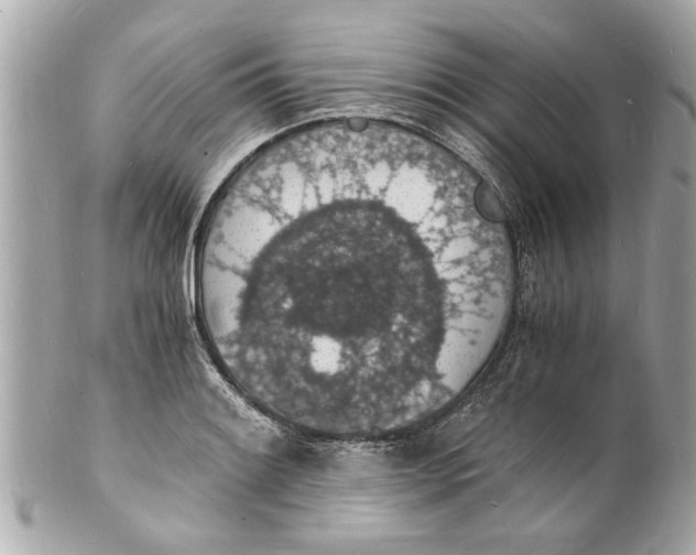 X0000101671084200807311452