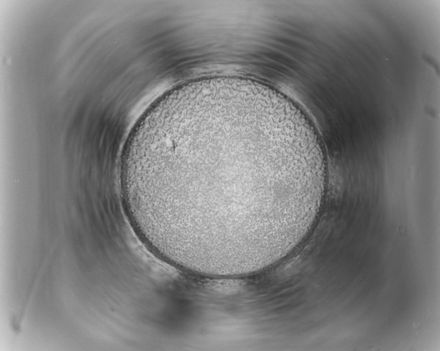 X0000101671090200807311452