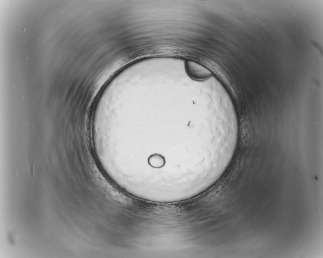 X0000101671091200807311452