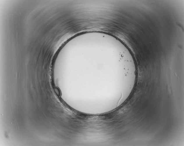 X0000101671093200807311452