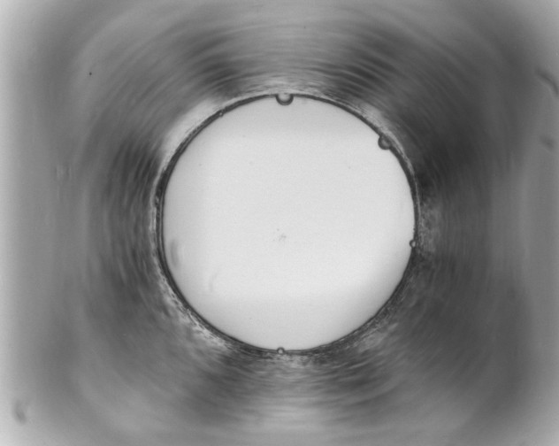 X0000101671096200807311452