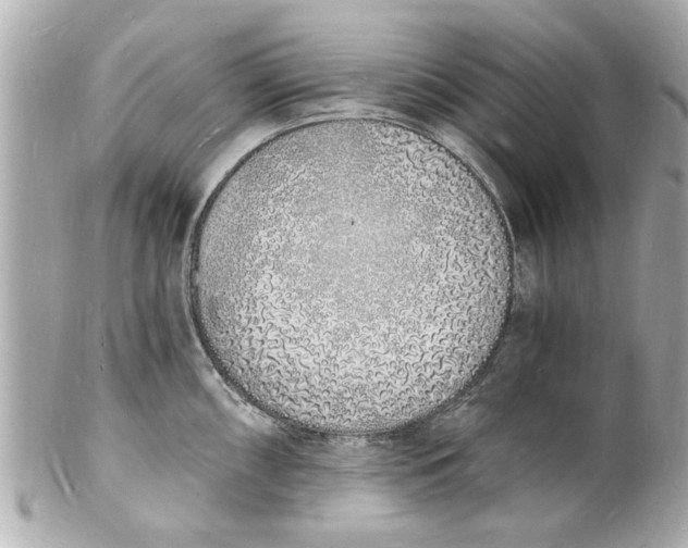 X0000101671098200807311452