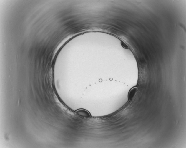 X0000101671100200807311452