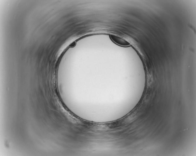 X0000101671101200807311452
