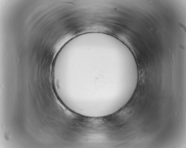 X0000101671103200807311452