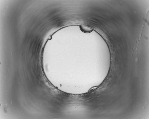 X0000101671104200807311452