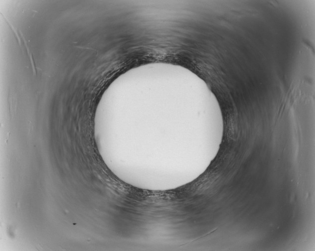 X0000101671105200807311451