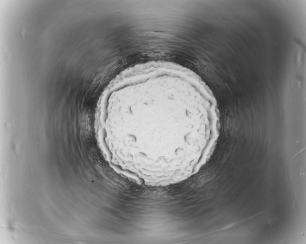 X0000101671106200807311451