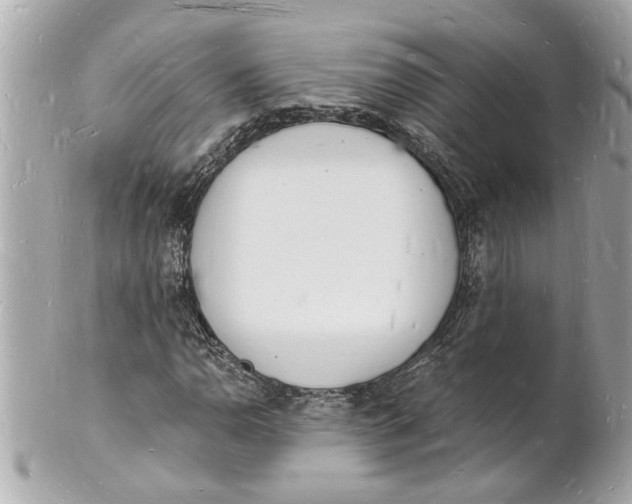 X0000101671110200807311451