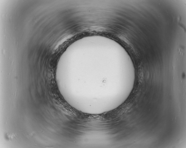 X0000101671112200807311451
