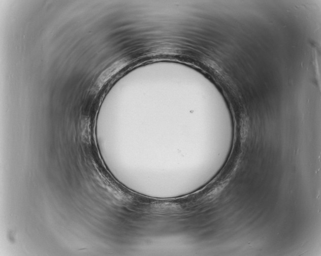 X0000101671113200807311451