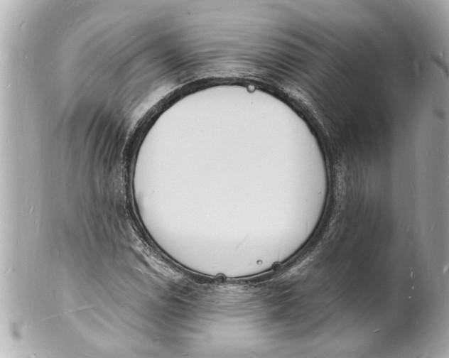 X0000101671114200807311451