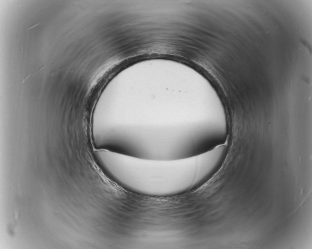 X0000101671115200807311451