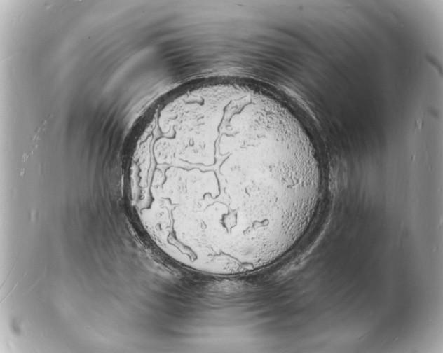 X0000101671117200807311451