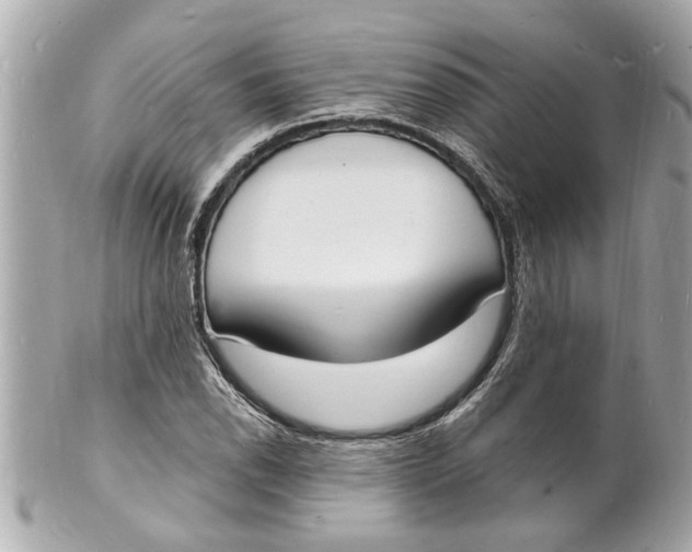 X0000101671118200807311451