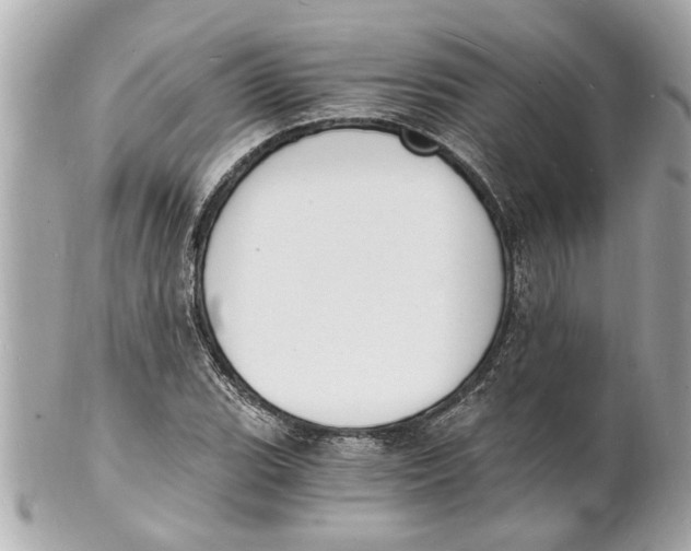 X0000101671119200807311451