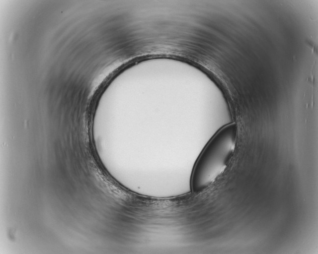 X0000101671120200807311451