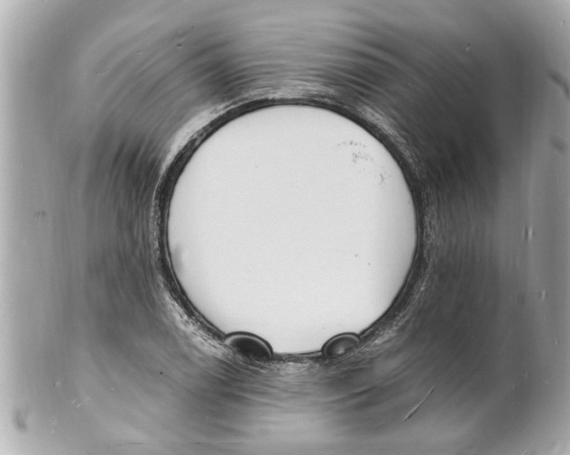 X0000101671122200807311451