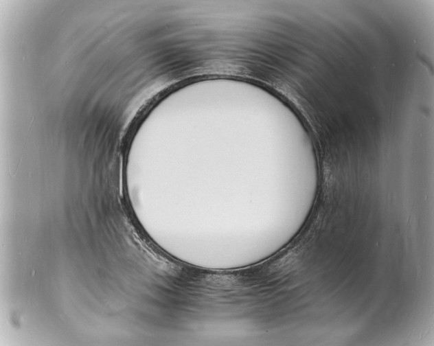 X0000101671123200807311451
