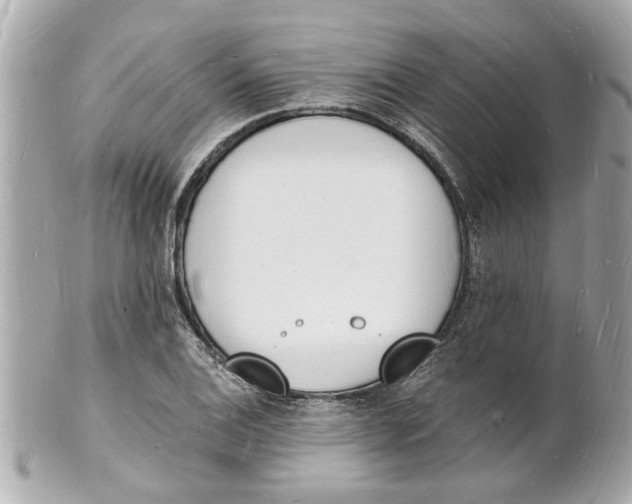 X0000101671124200807311451