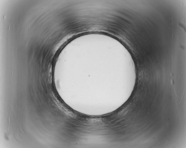 X0000101671126200807311451