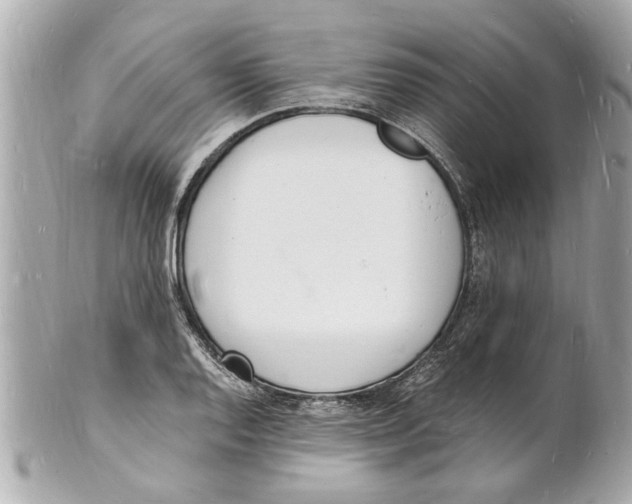 X0000101671128200807311451