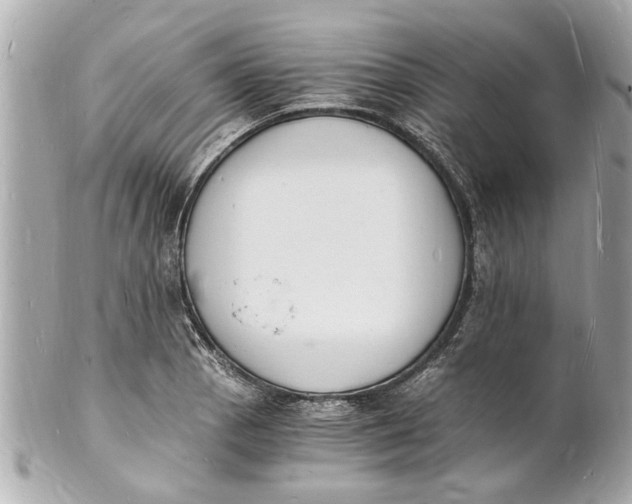 X0000101671129200807311451