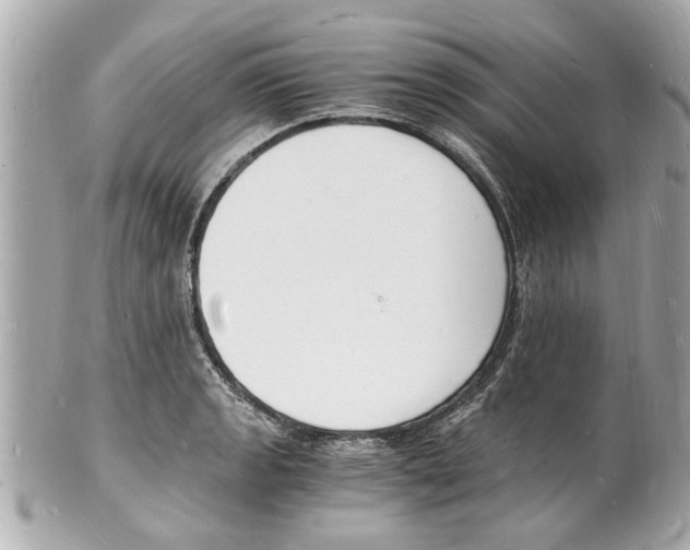 X0000101671133200807311451