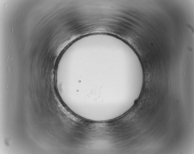 X0000101671134200807311451