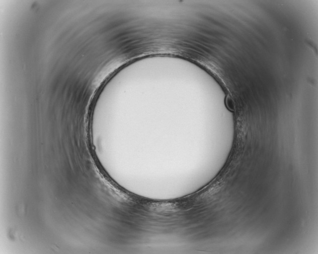 X0000101671135200807311451