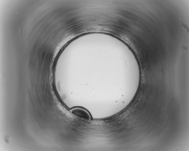 X0000101671136200807311451