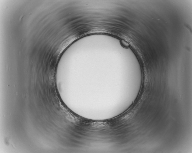 X0000101671137200807311451