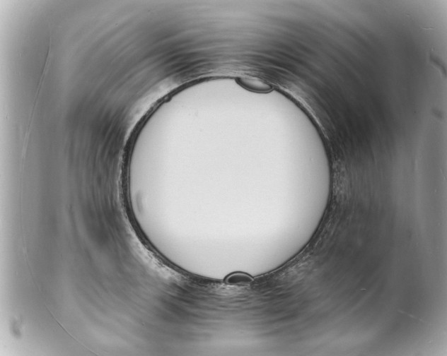 X0000101671139200807311451