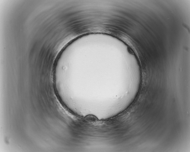 X0000101671141200807311451